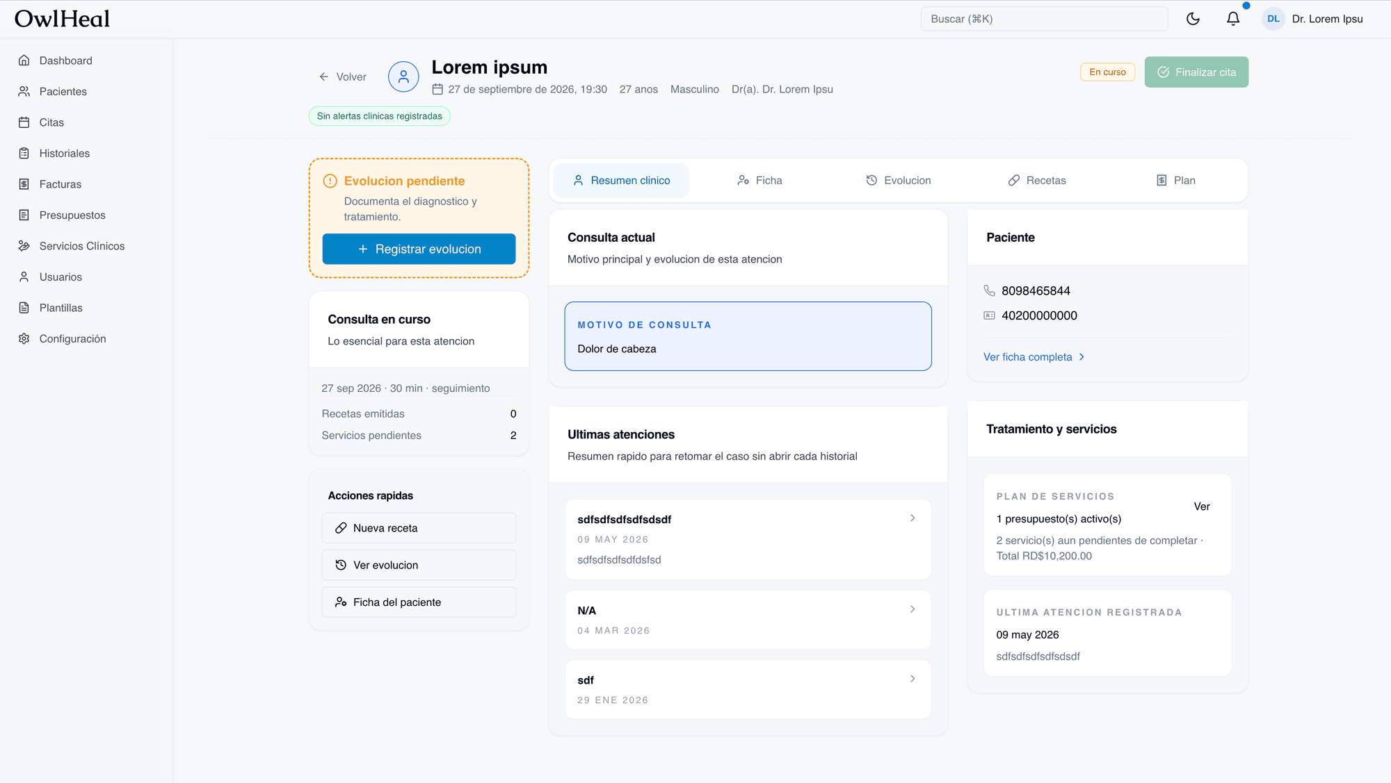 OwlHeal · Consulta en curso